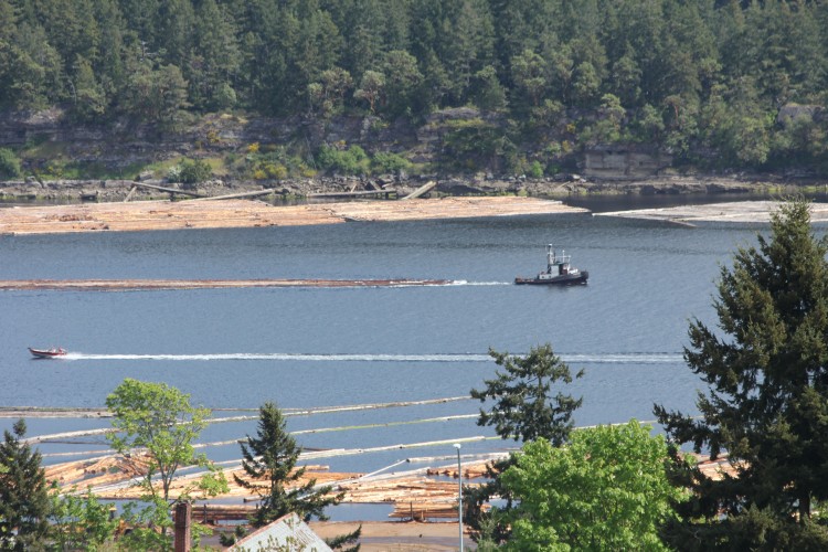 Ladysmith Harbour Logging Operations